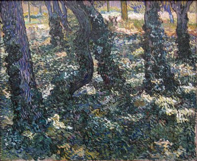 Undergrowth by Vincent van Gogh